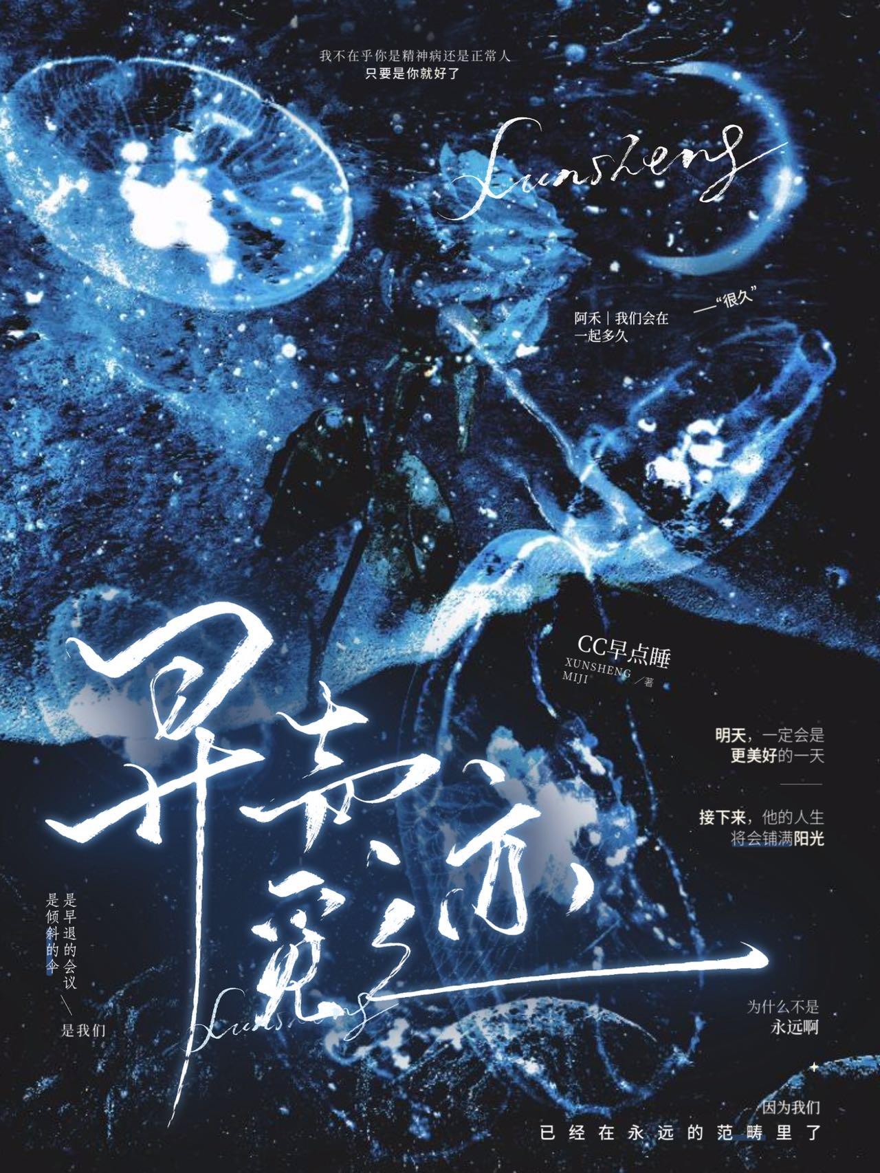 寻声觅迹封面