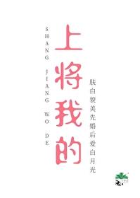 上将，我的！封面