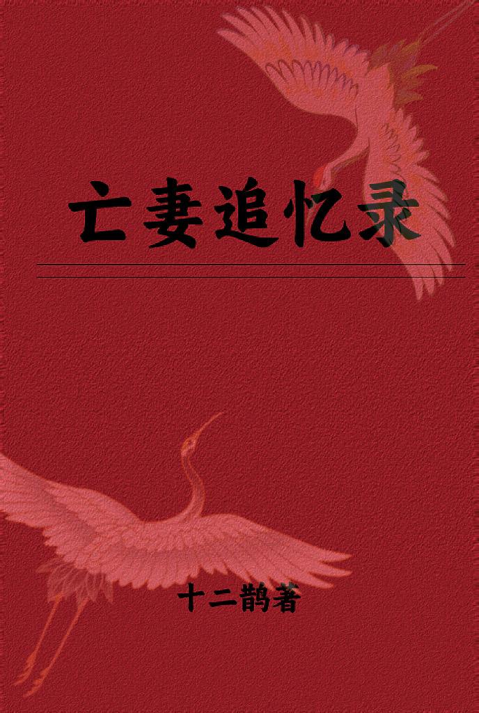亡妻追忆录封面