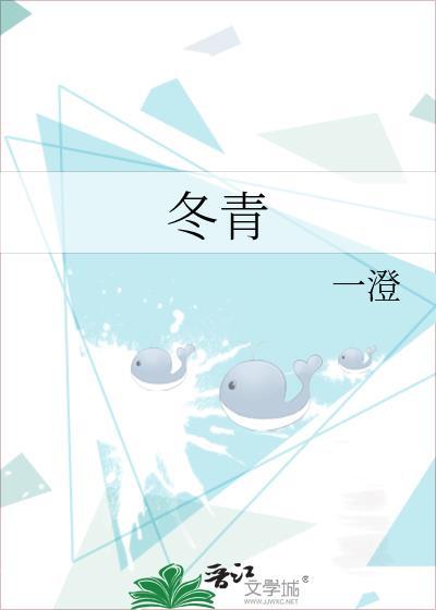 冬青封面