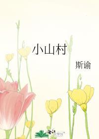 小山村封面
