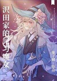 沢田家的见习魔女封面