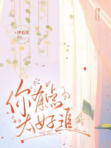 你有点太好追封面