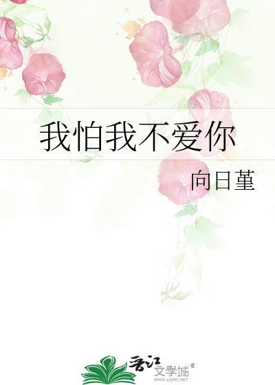我怕我不爱你封面