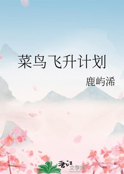 菜鸟飞升计划封面