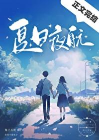 夏日夜航封面
