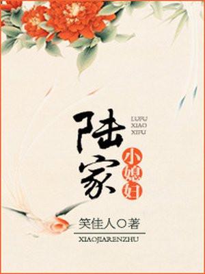 陆家小媳妇封面