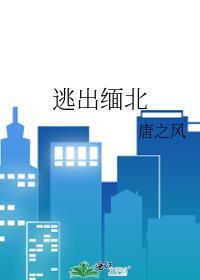 逃出缅北封面