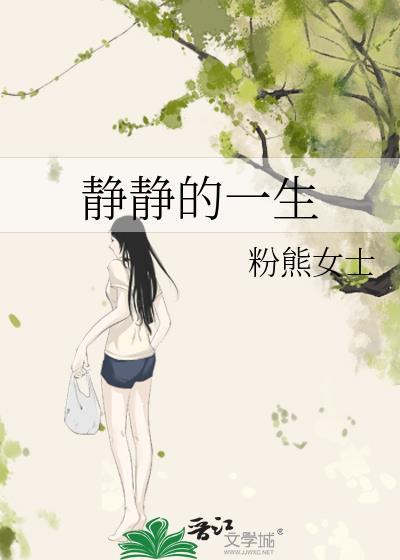 静静的一生封面