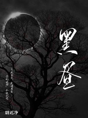 黑昼封面