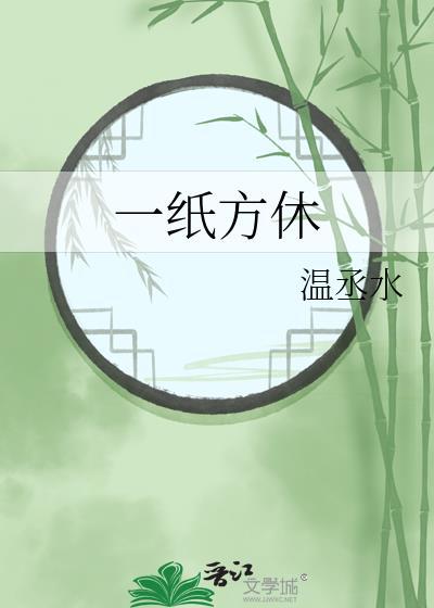 一纸方休封面