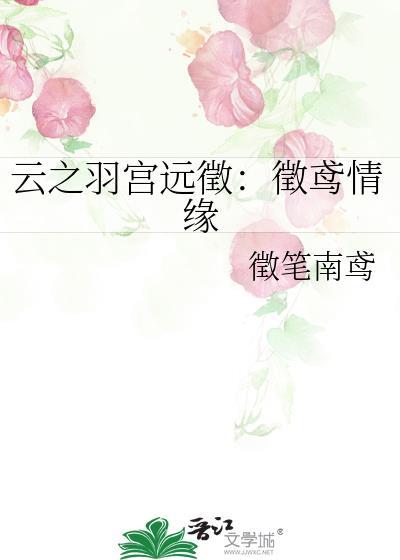 云之羽宫远征：征鸢情缘封面