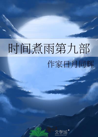 时间煮雨第九部封面