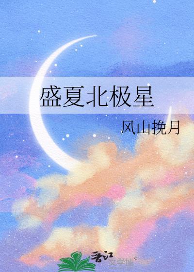 盛夏北极星封面
