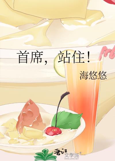首席，站住！封面