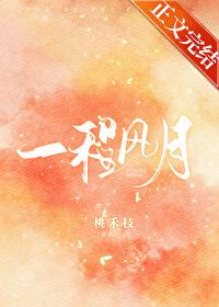 一程风月封面