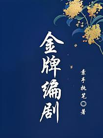 金牌编剧封面
