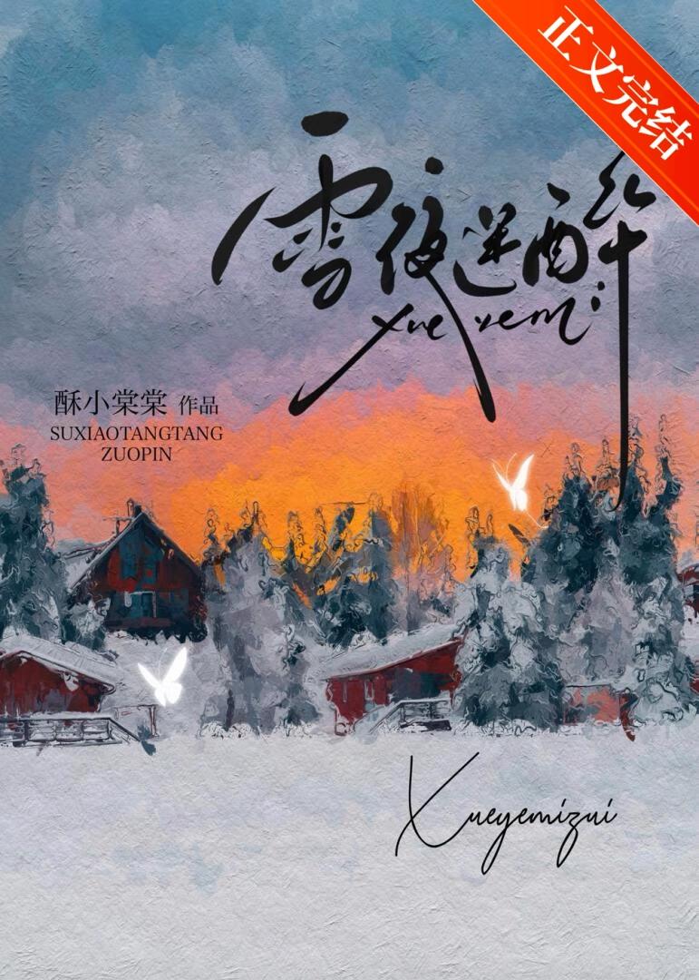 雪夜迷醉封面