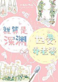就算是深渊也要养老婆封面