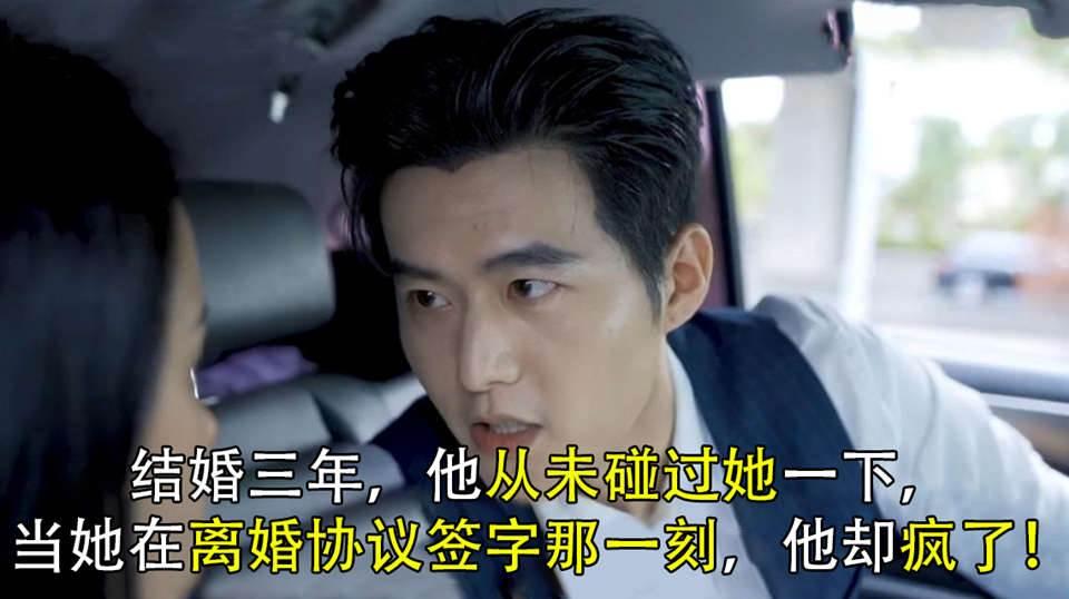 傅总，夫人又闹离婚了封面