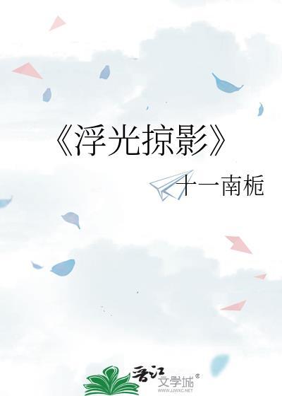 《浮光掠影》封面