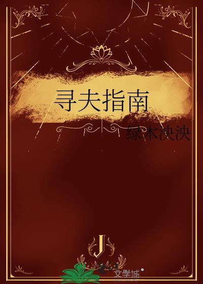 寻夫指南封面