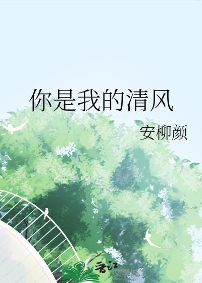 你是我的清风封面