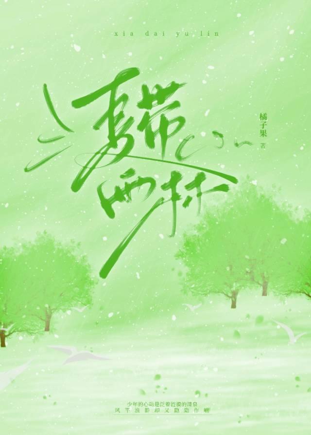 夏带雨林封面