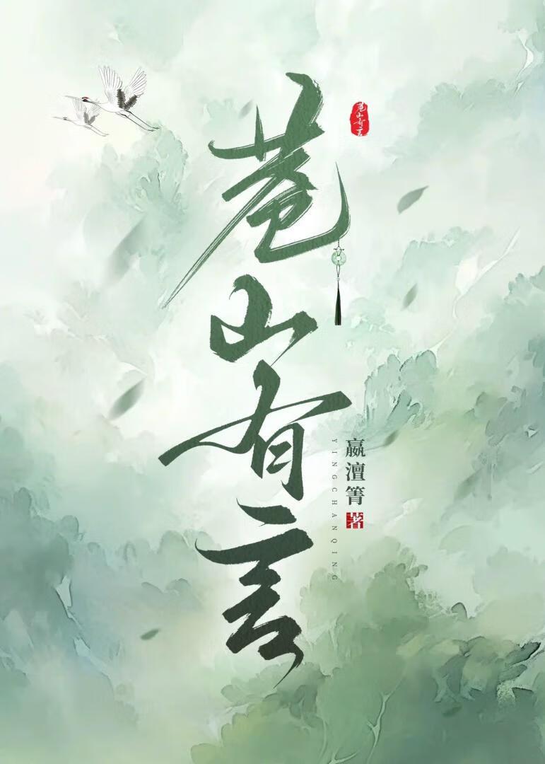 苍山有言封面