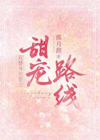 非典型双替身封面