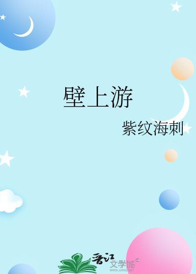 壁上游封面