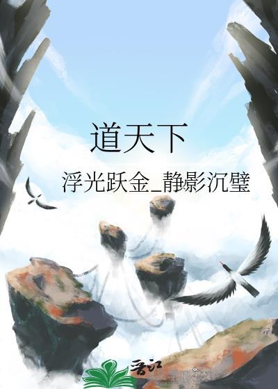 道天下封面