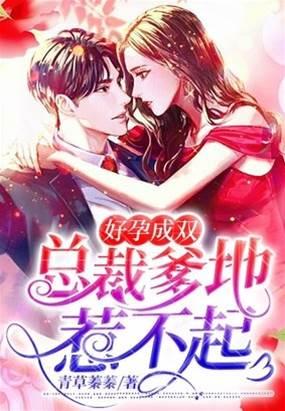 好孕成双，总裁爹地惹不起封面