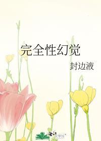 完全性幻觉封面