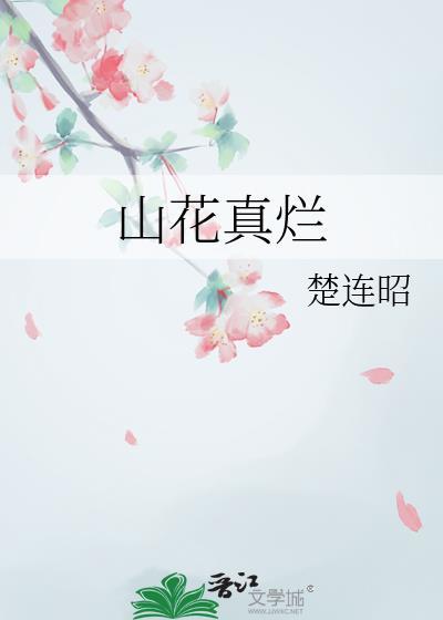 山花真烂封面
