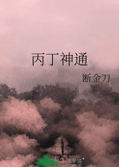 丙丁神通封面