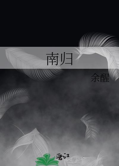 南归封面