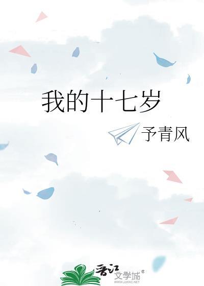 我的十七岁封面