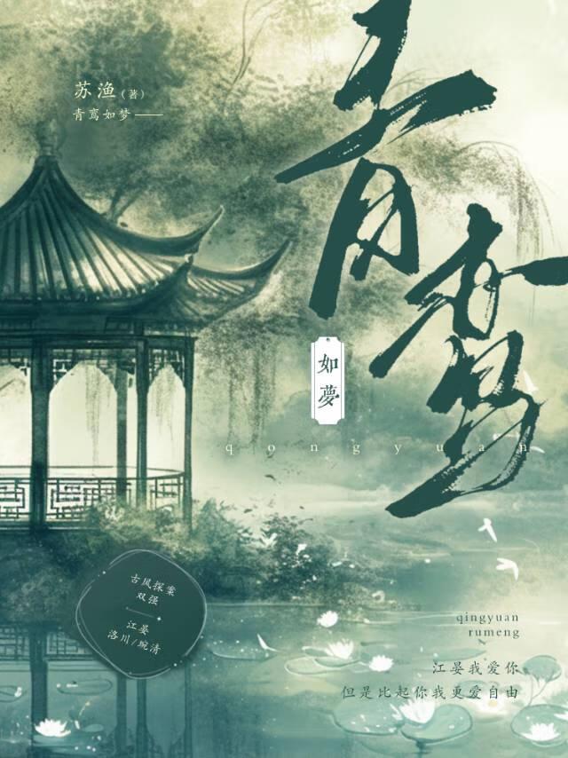 清鸾入梦封面