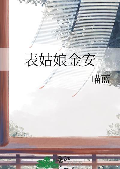 表姑娘金安封面