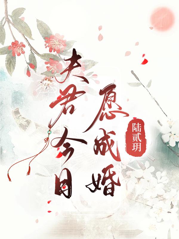夫君今日愿意成婚封面