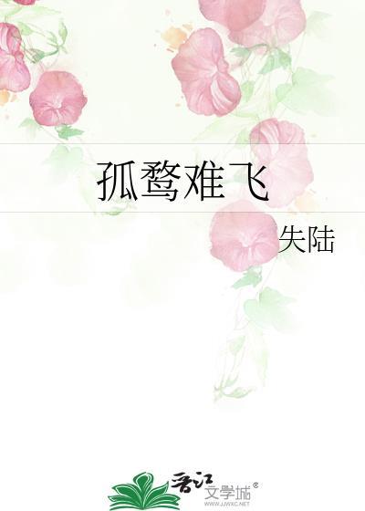 孤鹜难飞封面