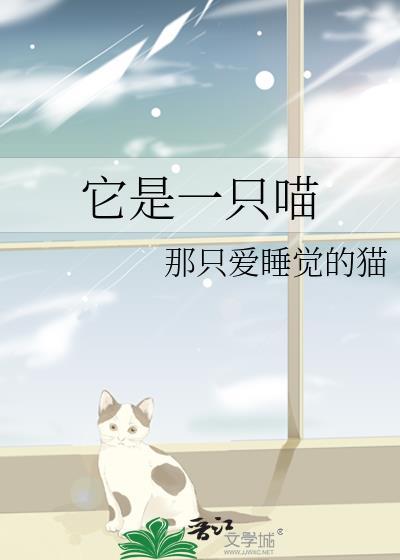 它是一只喵封面