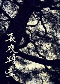 长夜将尽封面