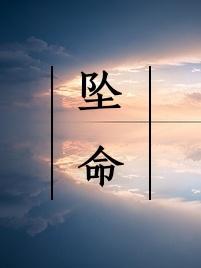 坠命封面
