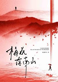 梅花落南山封面