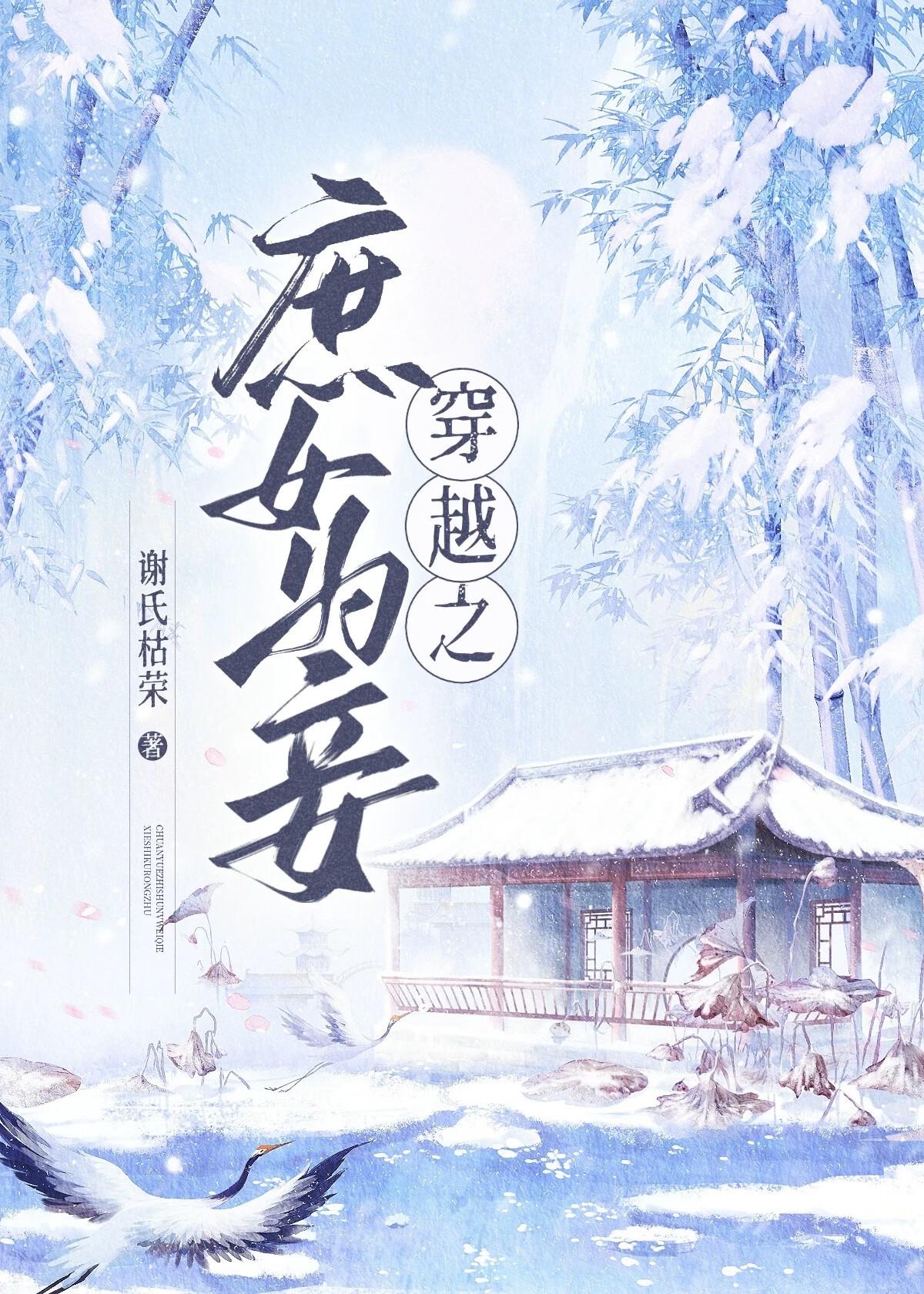 庶女为妾封面