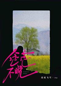 念念不晚封面