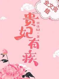 贵妃太爱朕了怎么办封面