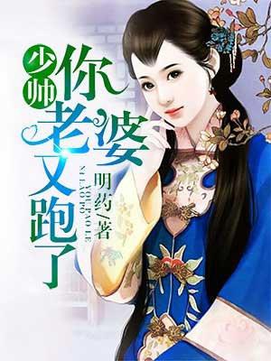 少帅你老婆又跑了封面